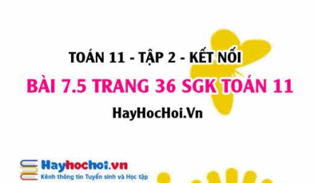 Bài 7.5 trang 36 Toán 11 tập 2 Kết nối tri thức